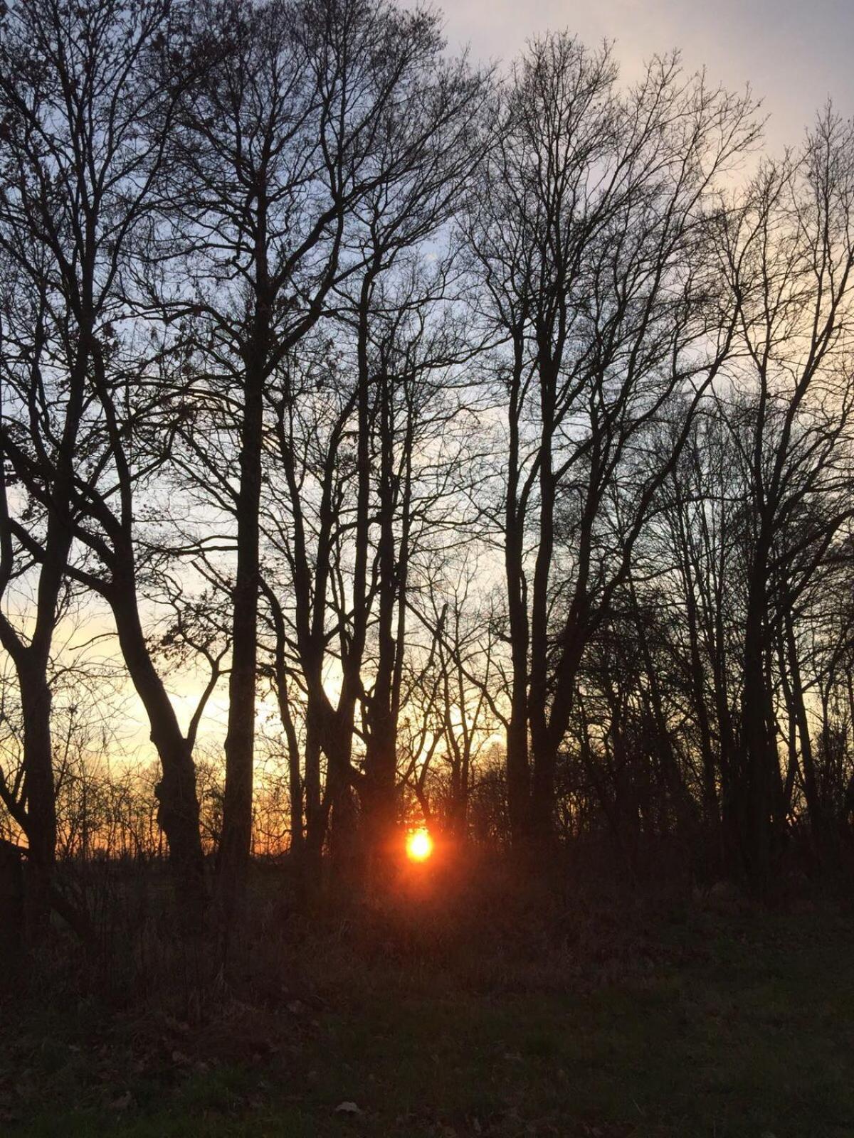 Spreewald-Ferienwohnung Reschke Radensdorf 外观 照片